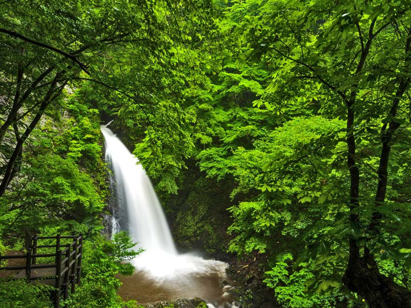 3D Kayalıklı Şelale Duvar Kağıtları | Dağlık Vadi Şelale Duvar Paneli Kaplama