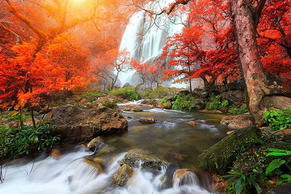 2019 Şelale Duvar Kağıtları | Duvar Kağıtları 2019 | Nehir Duvar Kağıtları