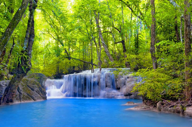 3D Yeşil Kayalıklı Şelale Duvar Kağıtları | Taşlı Şelale Modeli Duvar Kağıtları