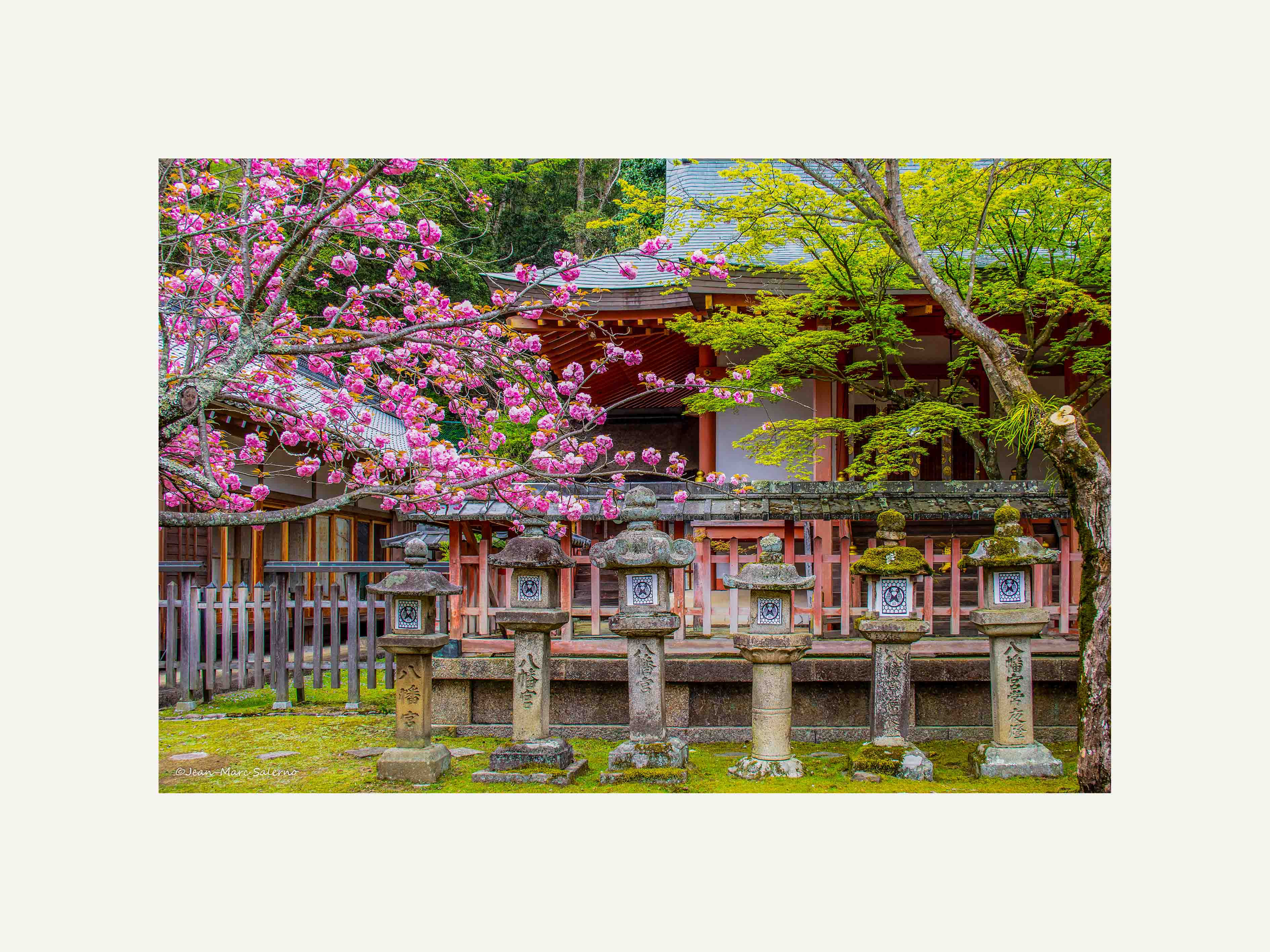 Photo Japon 4 avec Marquise