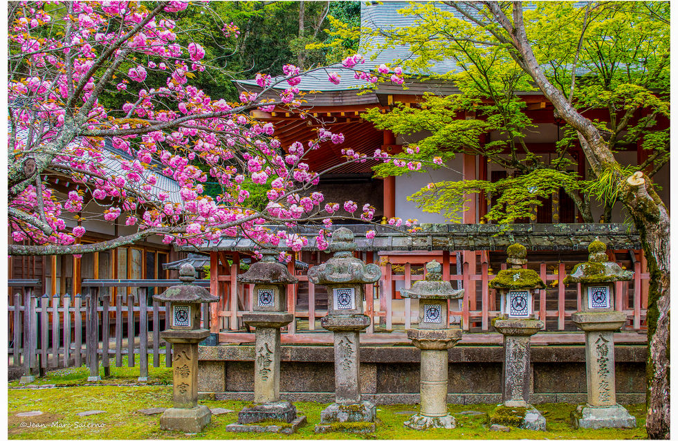 Copy of JAPAN-5.JPG