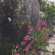 Landscape and garden design Honiton