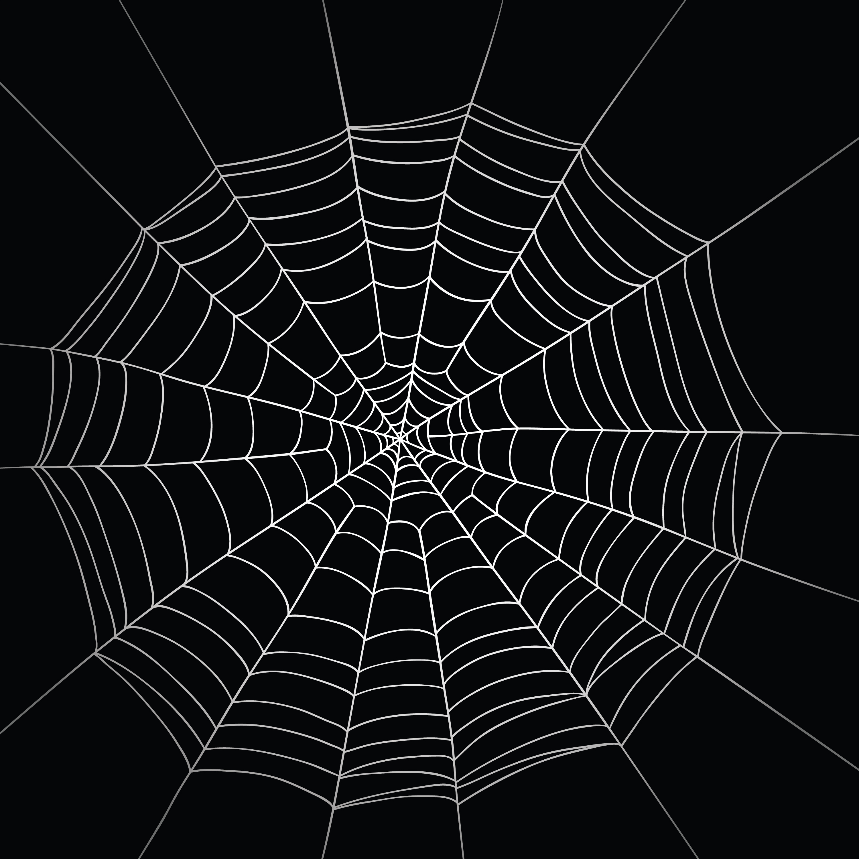511672305-spiders-web