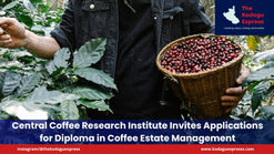 Central Coffee Research Institute Invites Applications for Diploma in Coffee Estate Management