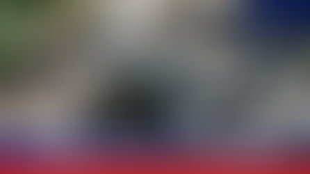 Teacher on Social and Educational Survey Duty Injured in Wild Elephant Encounter in Kodagu