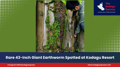 Rare 43-Inch Giant Earthworm Spotted at Kodagu Resort