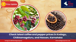 Check the Latest Coffee Price Updates from Kodagu, Chikkamagaluru, and Hassan in Karnataka
