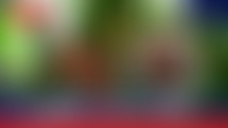 Check The Latest Coffee And Pepper Price Update From Karnataka's Kodagu, Chikmagaluru And Hassan