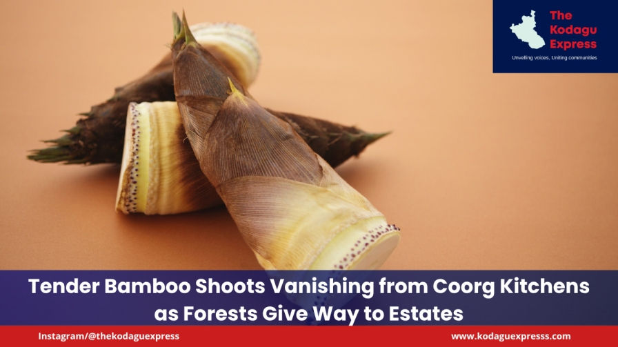The loss of green cover in Karnataka’s Malnad belt has directly impacted not only biodiversity but also local food culture.