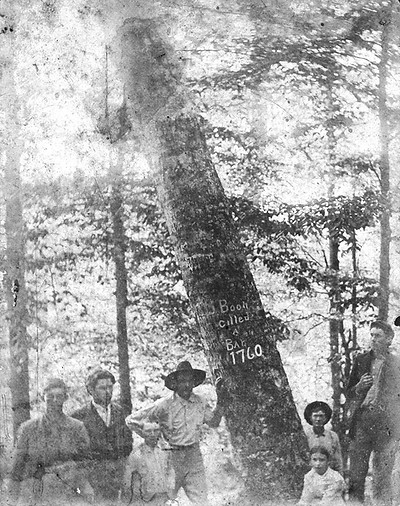Boone Tree.jpg