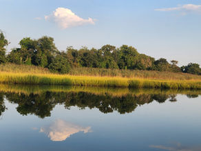 Replay: "Whispers of Wisdom" by Rev. Patti Perhacs