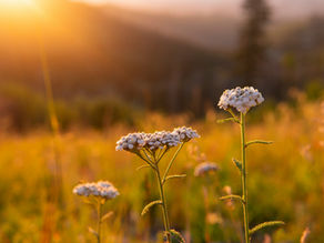 Replay: Transfrom from Victim mode to Empowered mode with Maryann Hackworth