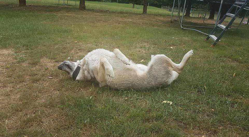 FB_IMG_1516003144080