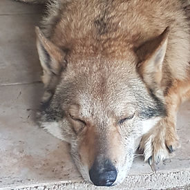 20180523_150256.jpg