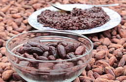 Fruto de cacao