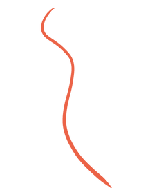 Untitled_Artwork 23.png