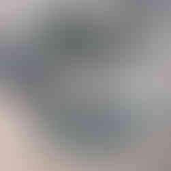 Rodent trail through vegetation.