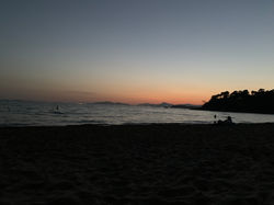 IMG_5343.jpeg