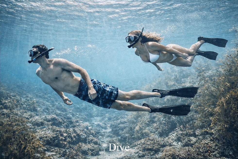 Wix Dive Silvertone_edited