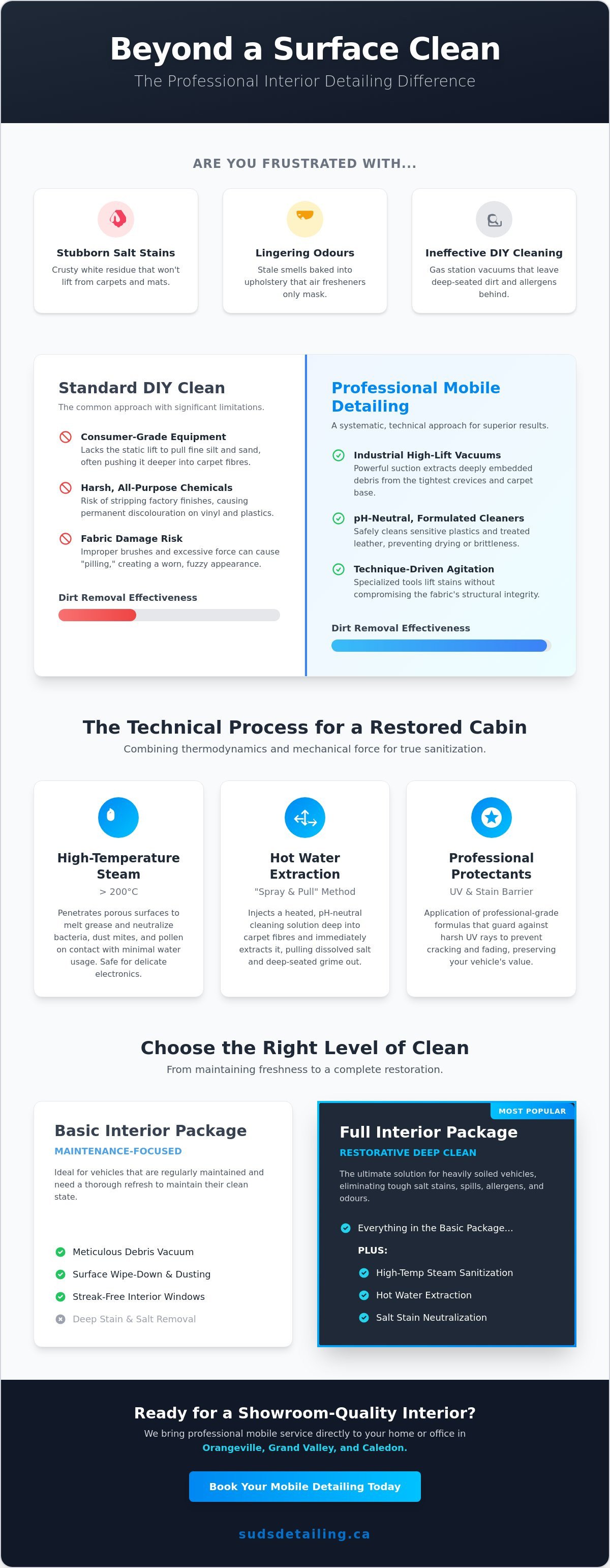 Professional mobile interior detailing