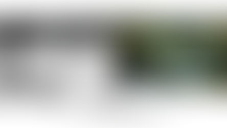 Singularités Plurielles...