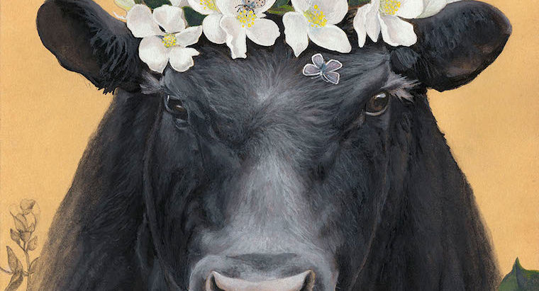 New Moon Update: Taurus