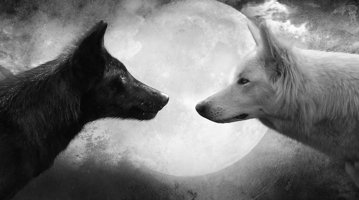 Full Moon Update + Vernal Equinox: Libra