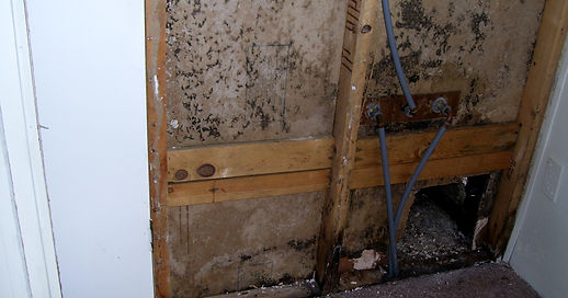 hidden mold, black mold toxic mold, mold inside walls