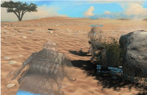Camouflage - Blending in a Desert landscape 