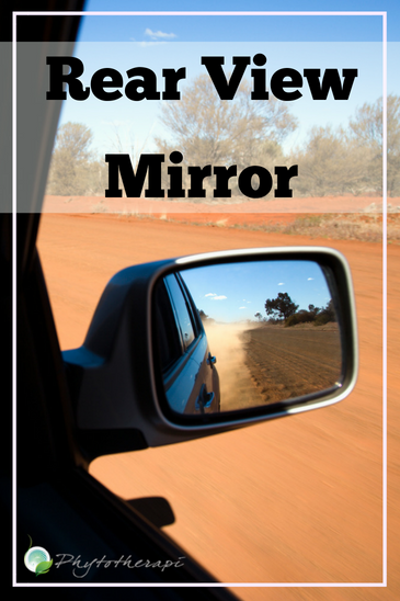 Rear View Mirror (1)