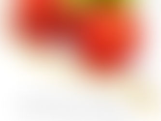 Understanding Optimal Health, part 2