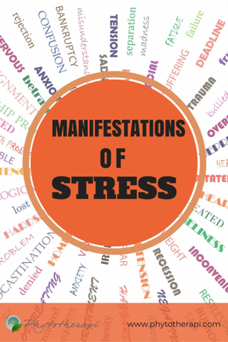 Manifestations of Stress (2)