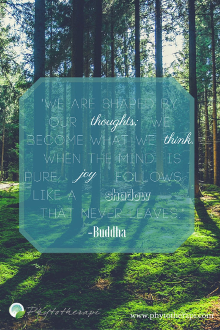 Shaped by our thoughts