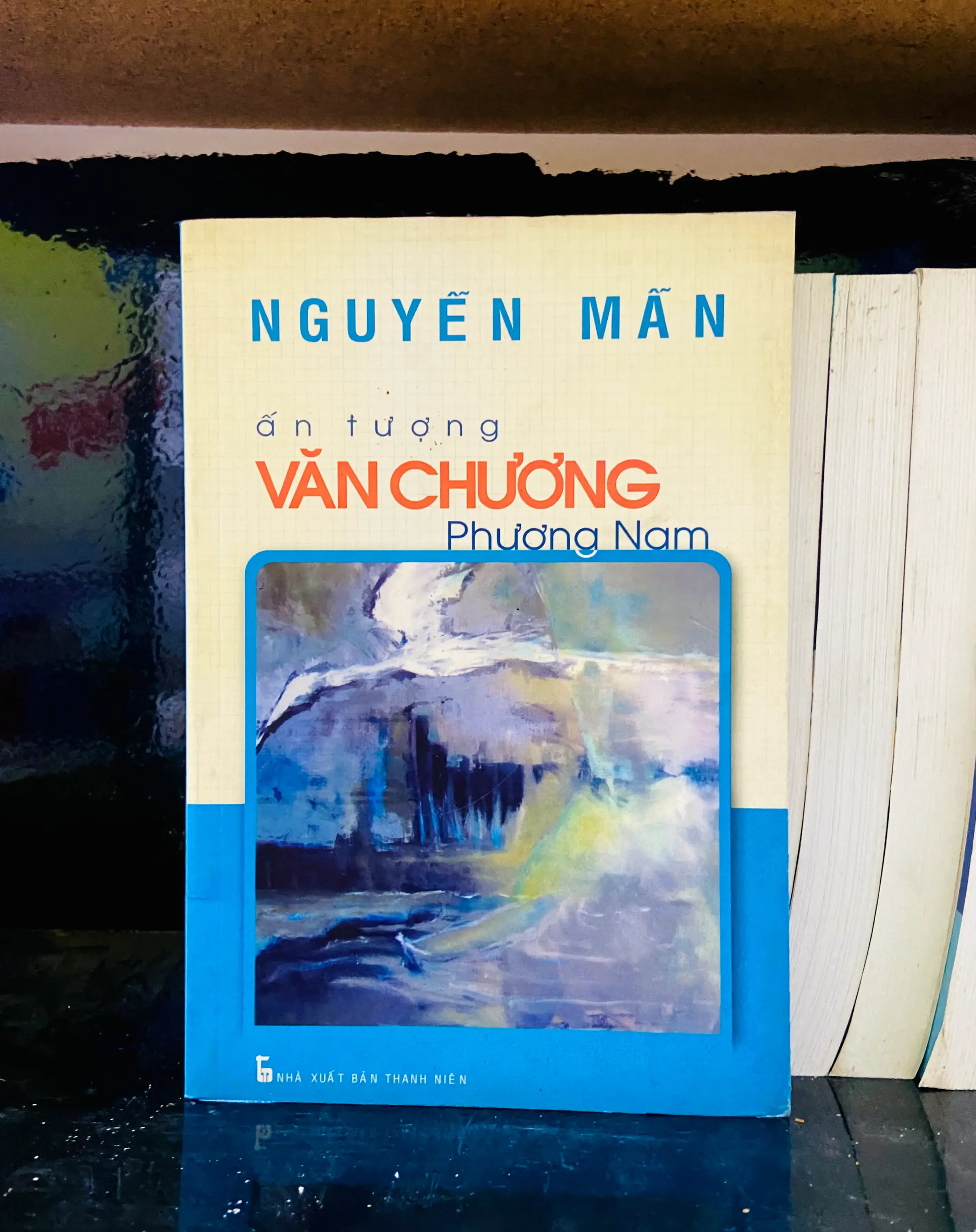Ấn tượng Văn chương Phương Nam - Nguyễn Mẫn