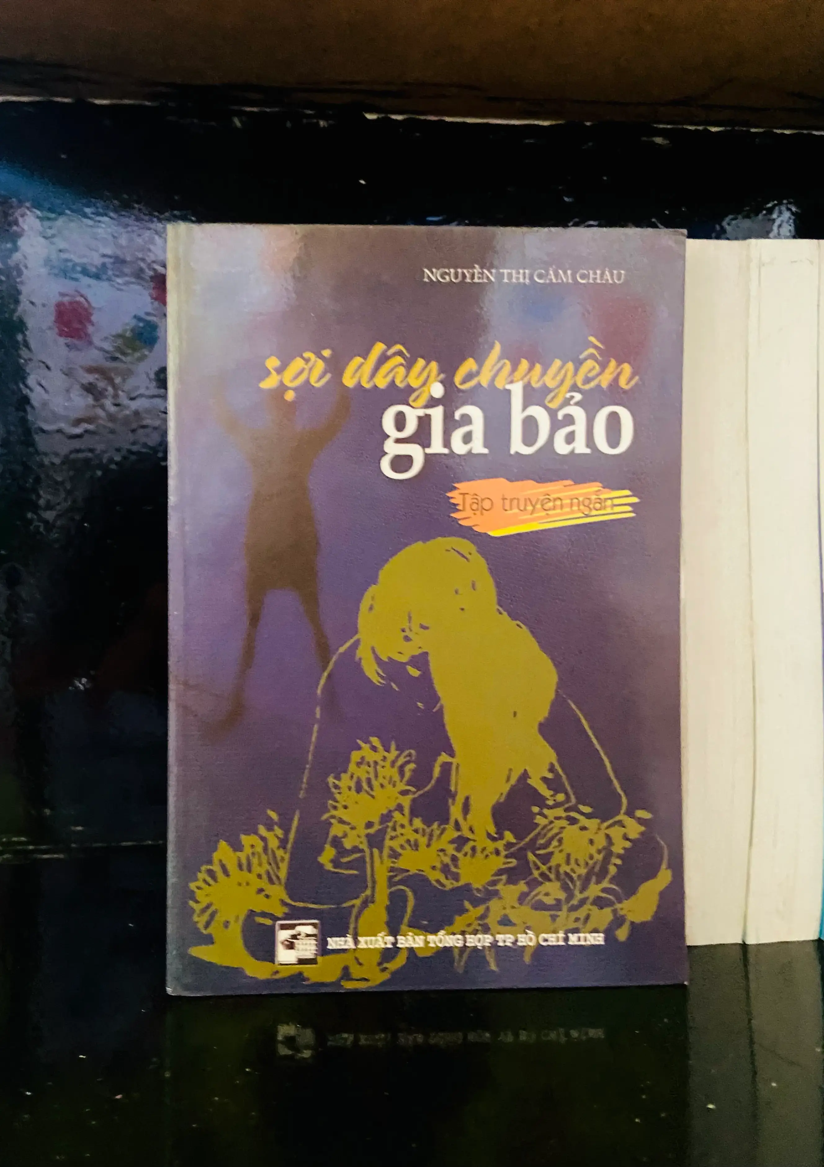 Sợi dây chuyền gia bảo - Nguyễn Thị CẩmChâu