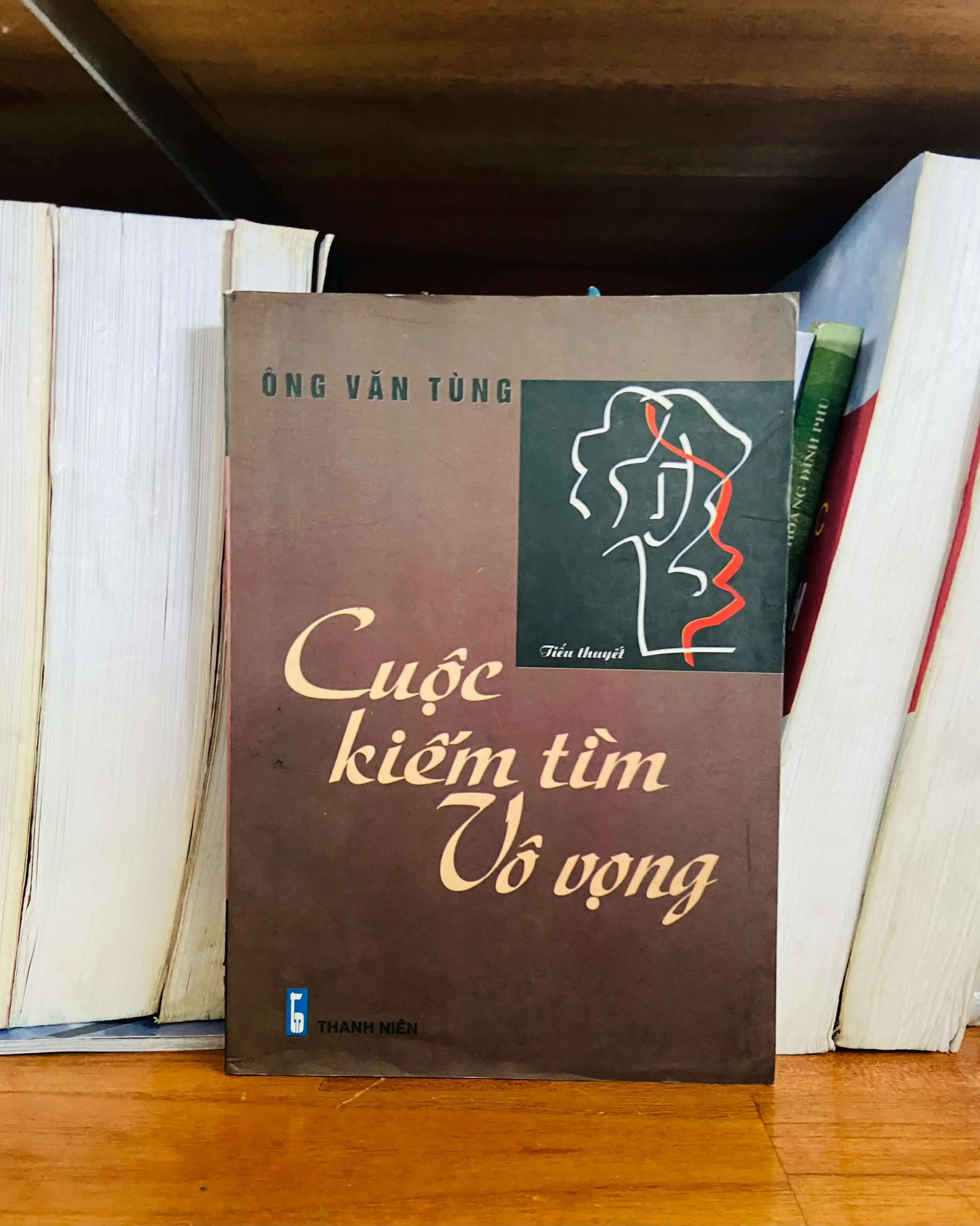 Cuộc tìm kiếm vô vọng - Ông Văn Tùng