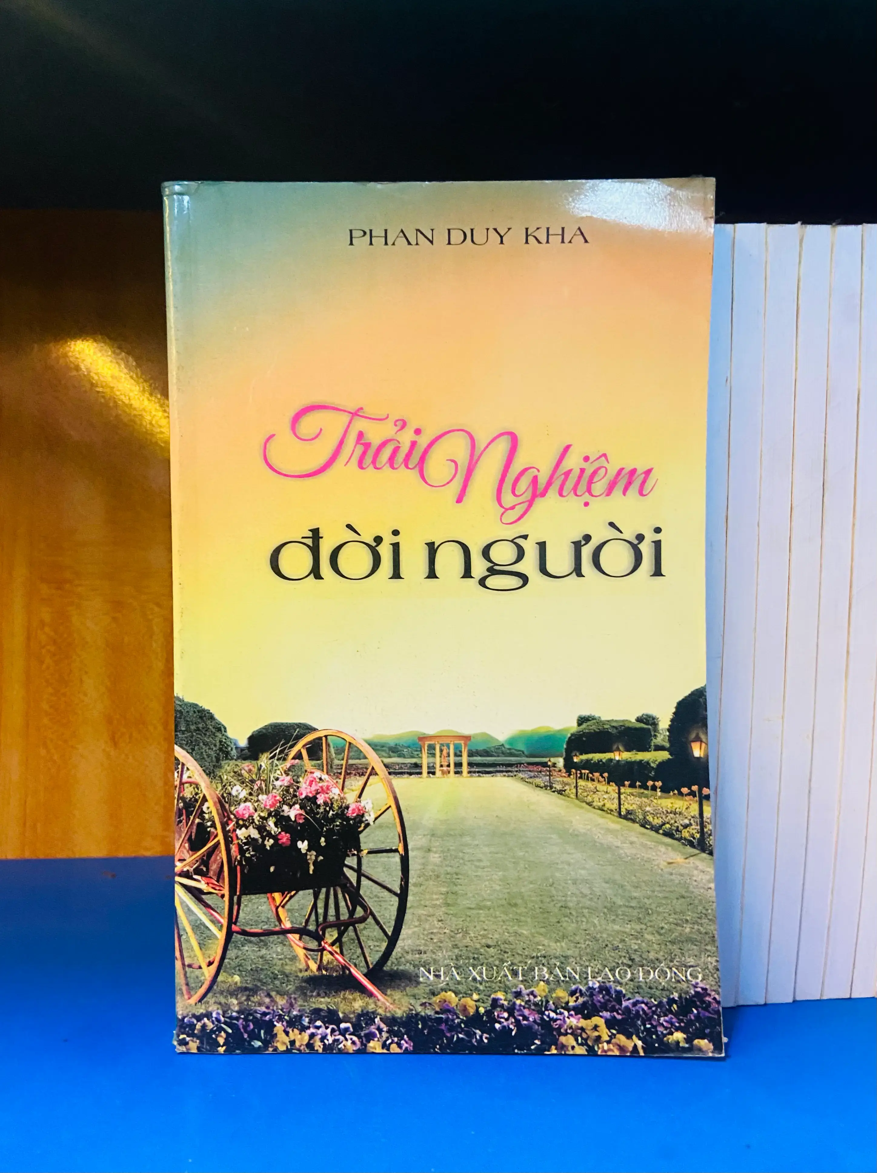 Trải Nghiệm đời người