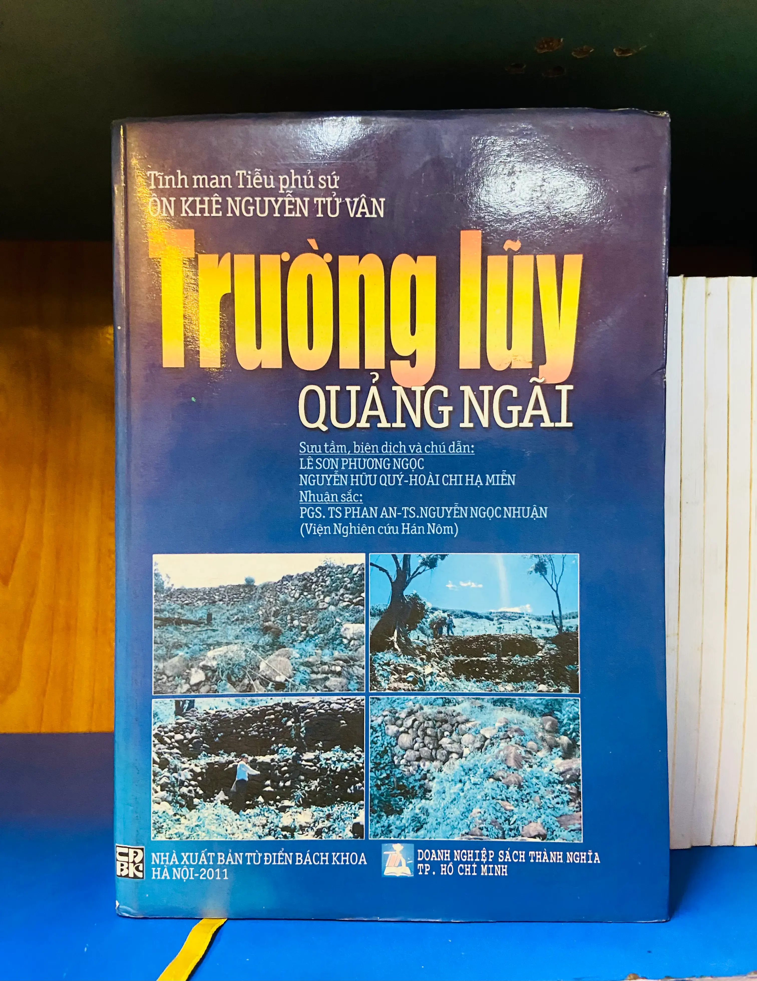 Trường lũy Quảng Ngãi