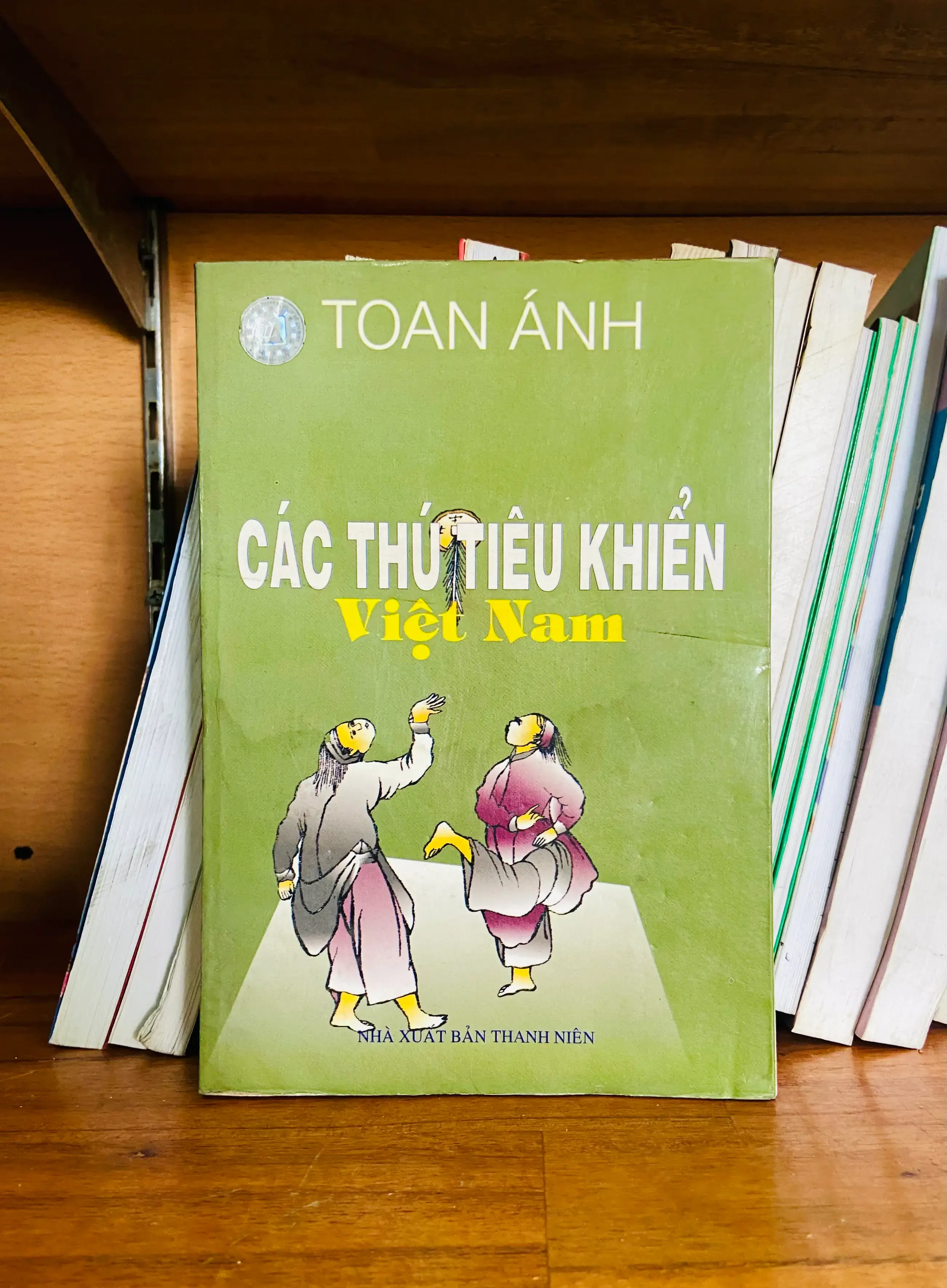 Các thú tiêu khiển Việt Nam - Toan Ánh