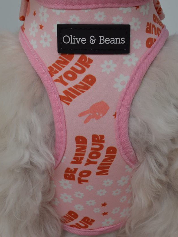 Thumbnail: Be Kind Harness