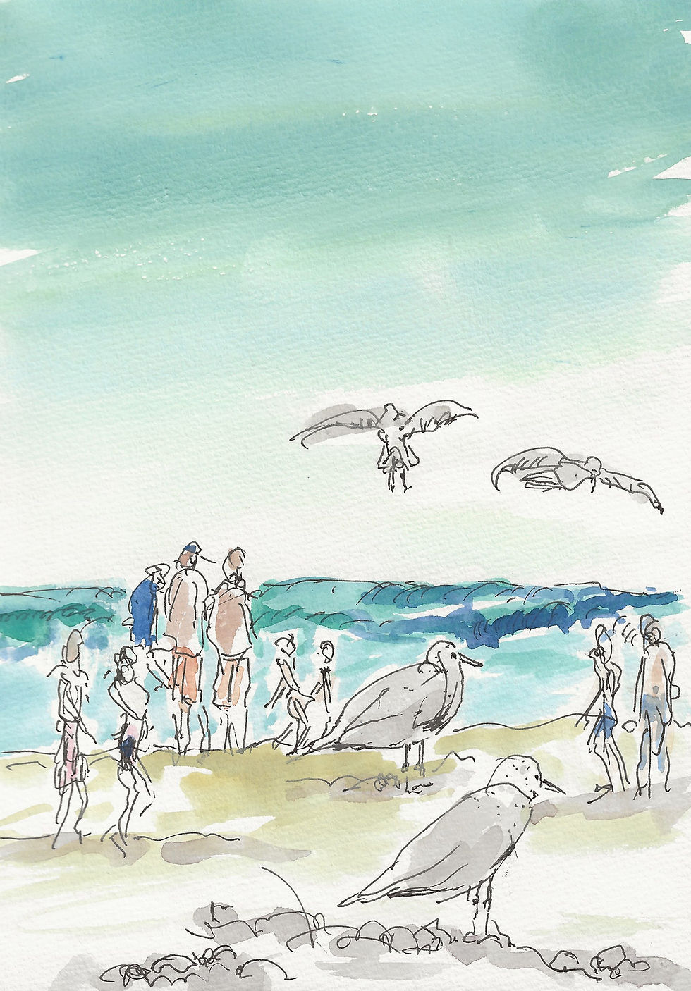 Rough sea and gulls