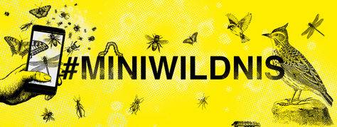 Eine Kampagne für mehr Wildnis!