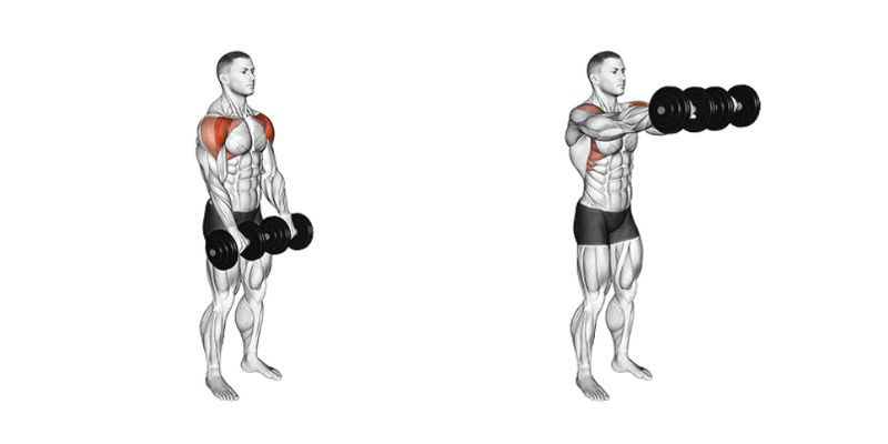 Fitness health wellness training muscle strength