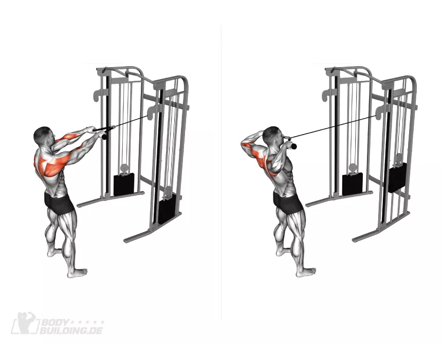 Fitness health workout training muscle strength