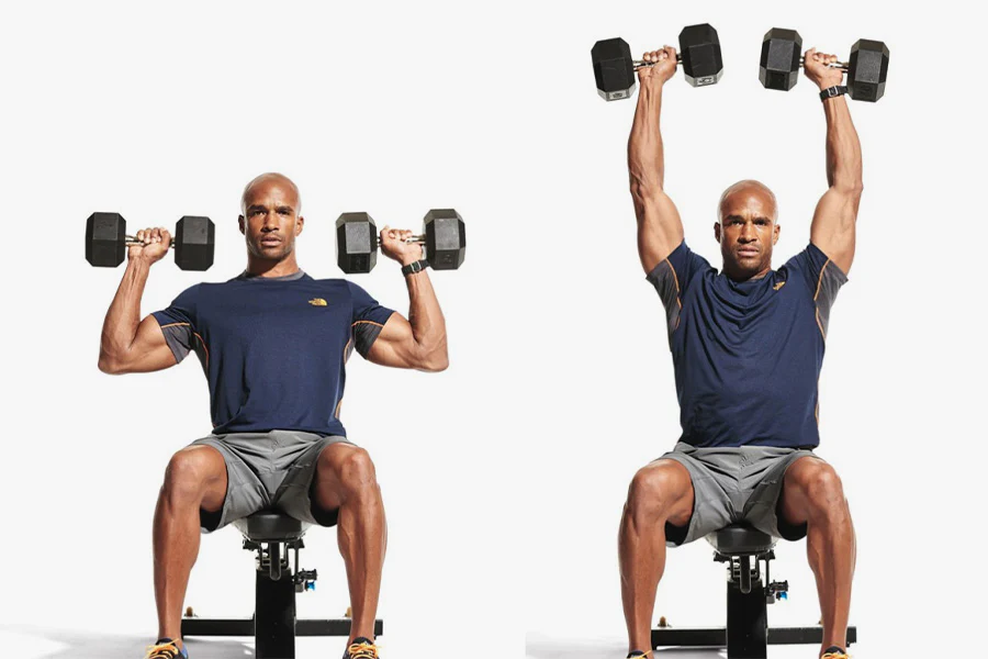 fitness health wellness training muscle workout human anatomy