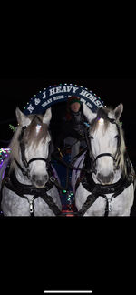 Christmas Carriage drawn by Unicorns ready for event hire.