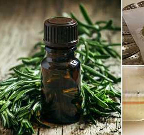 How To Make Tea Tree Oil To Treat Infections