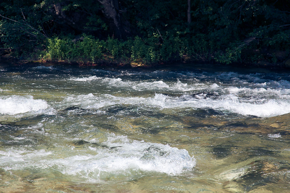 Konjic 24.07-emir-52.jpg