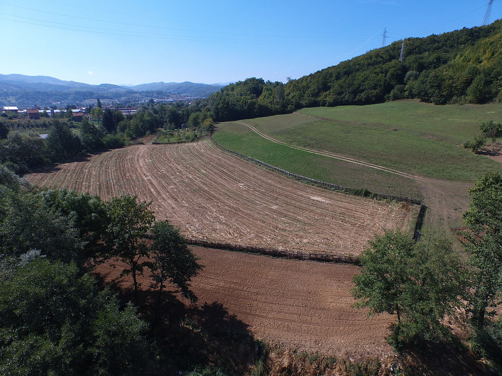 DJI_0059.JPG