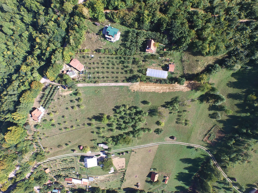 DJI_0081.JPG